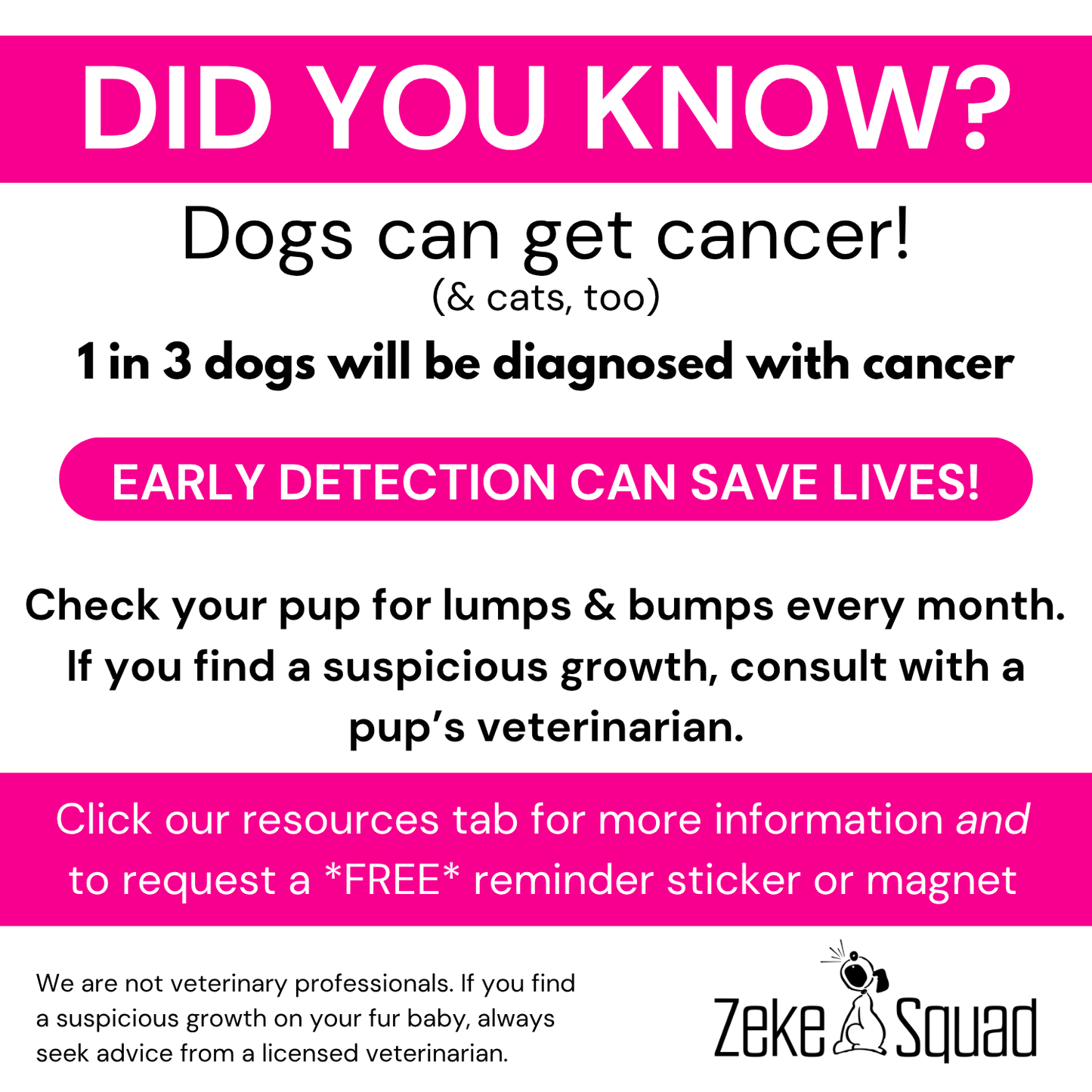 Canine Cancer Sucks Vehicle Magnet | Dog Awareness Bumper Magnet – Zeke Squad