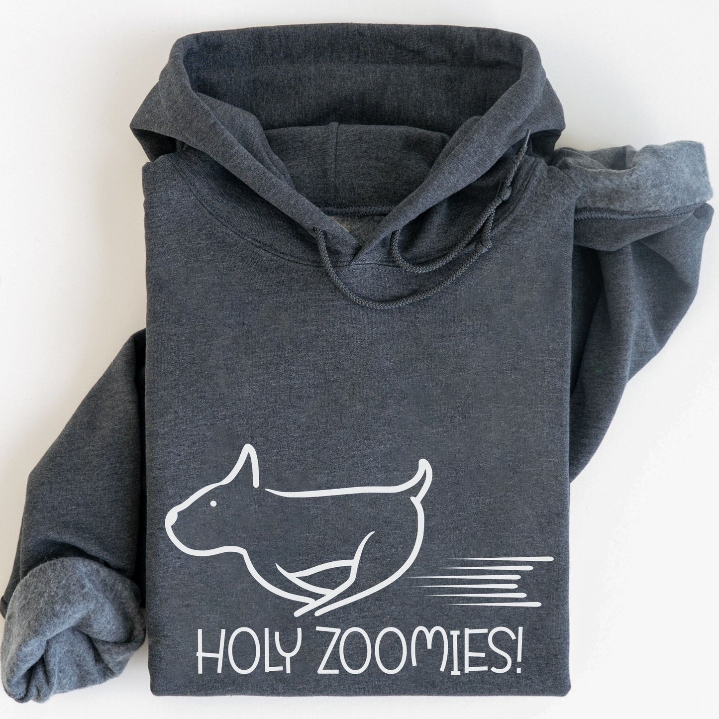 Holy Zoomies Hoodie