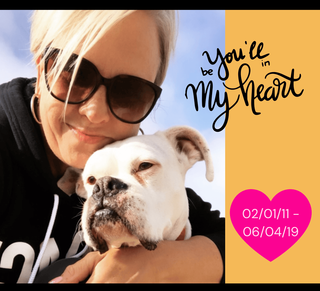 Our Canine Cancer Story: The Lump We Missed, the Dog We Lost, and the Mission Every Pet Parent Needs to Hear - Zeke Squad