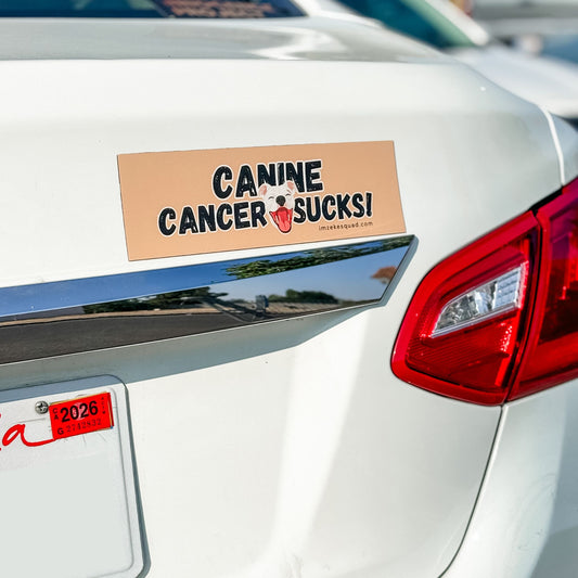 10x3-inch Zeke Squad vehicle bumper magnet with the phrase “Canine Cancer Sucks” and a cute dog face design promoting canine cancer awareness.