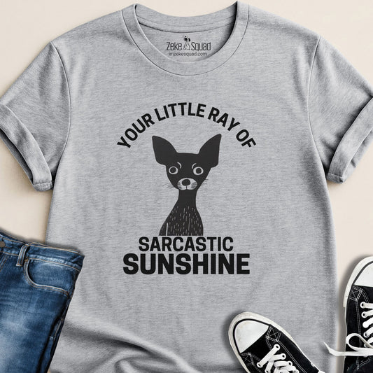 Your Little Ray of Sarcastic Sunshine T-shirt