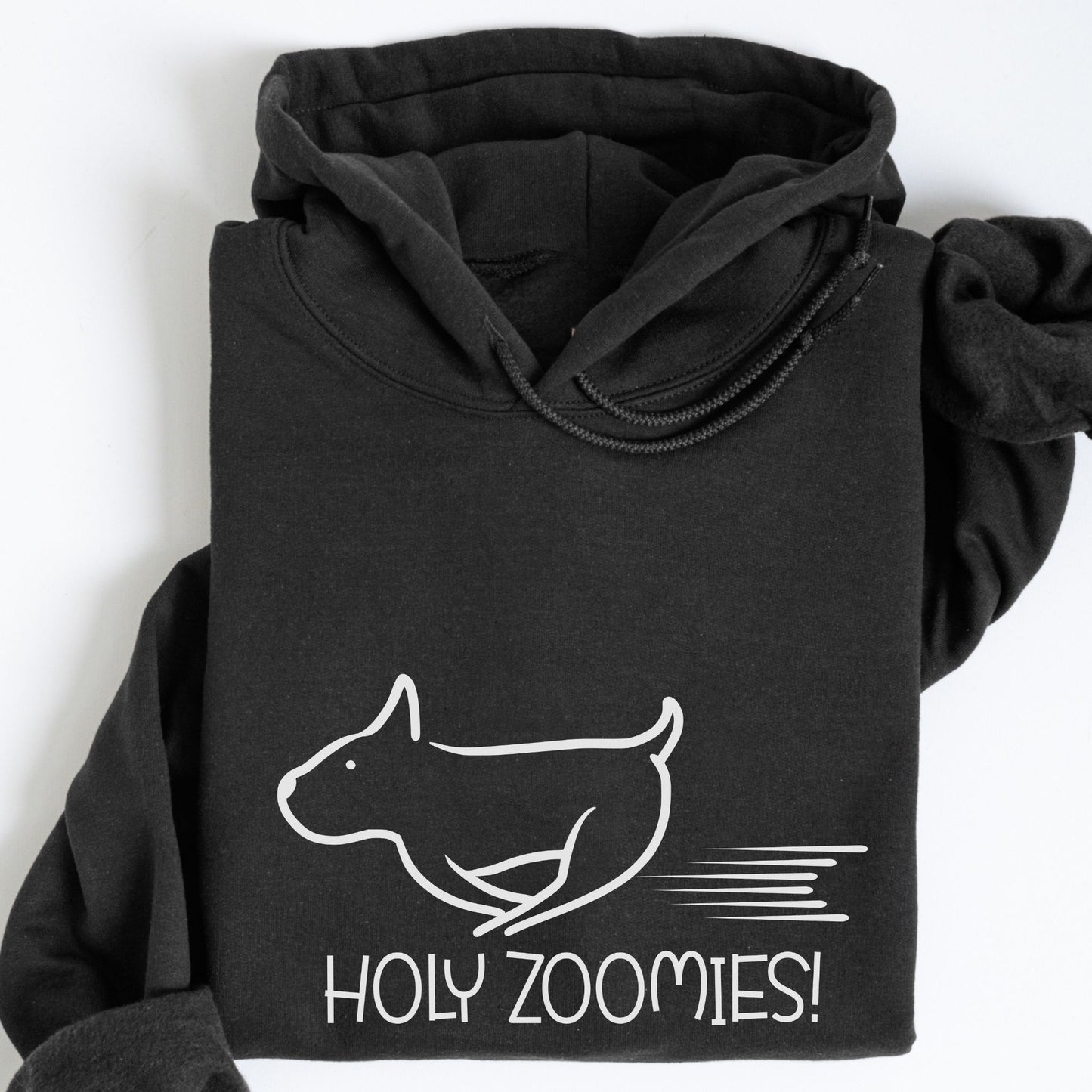 Holy Zoomies Hoodie