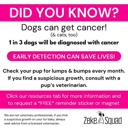 Rewind Kindness Fast - Forward Drama T-Shirt | Retro Cassette Tee - Zeke Squad