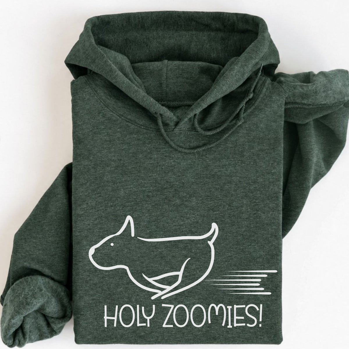 Holy Zoomies Hoodie