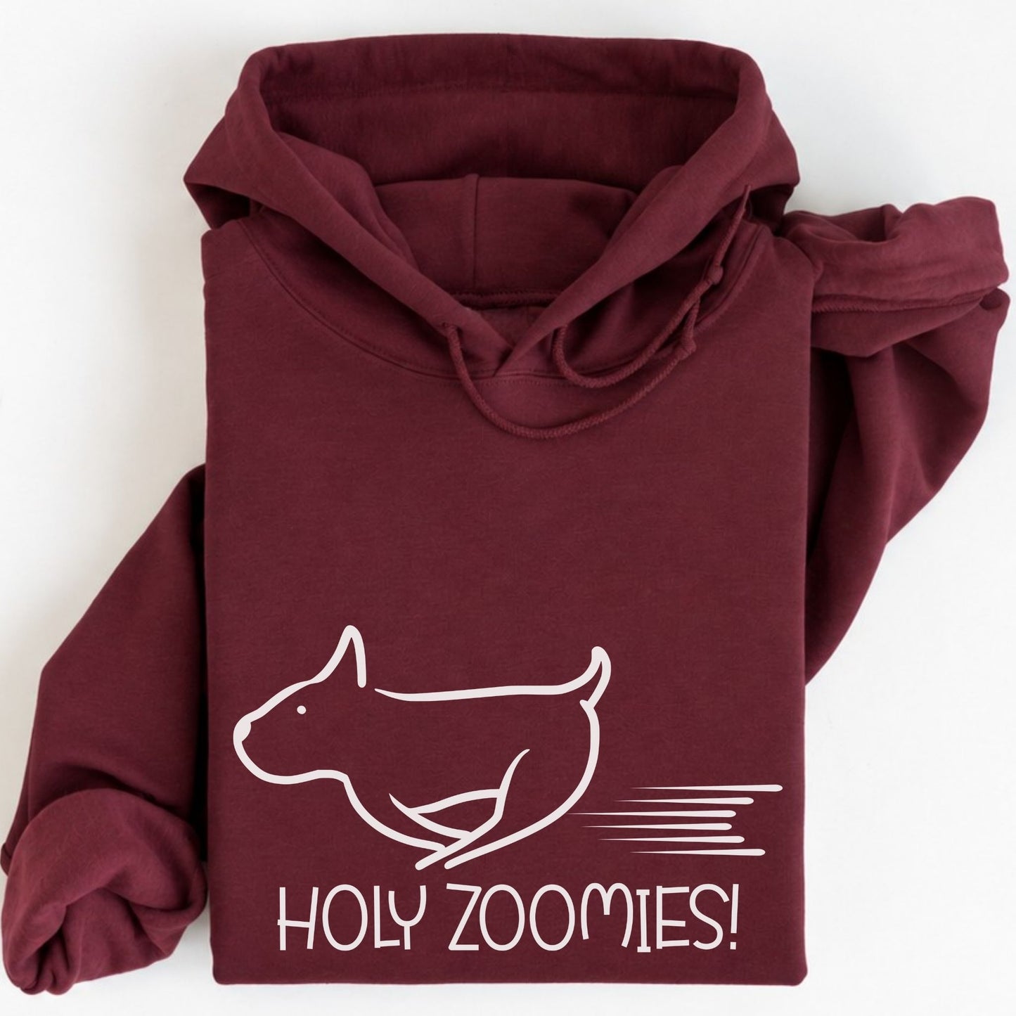 Holy Zoomies Hoodie