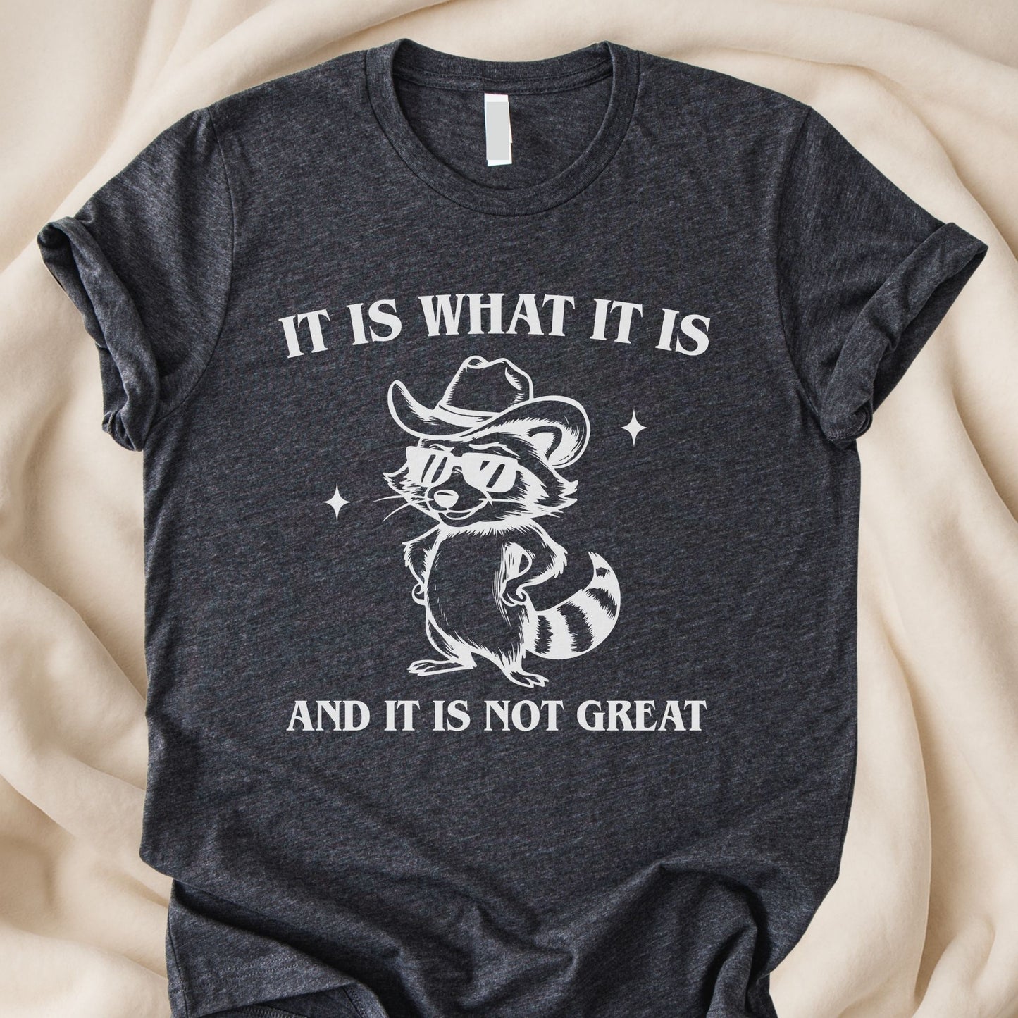 It Is What It Is and It’s Not Great T-Shirt | Funny Raccoon Tee – Zeke Squad - Zeke Squad