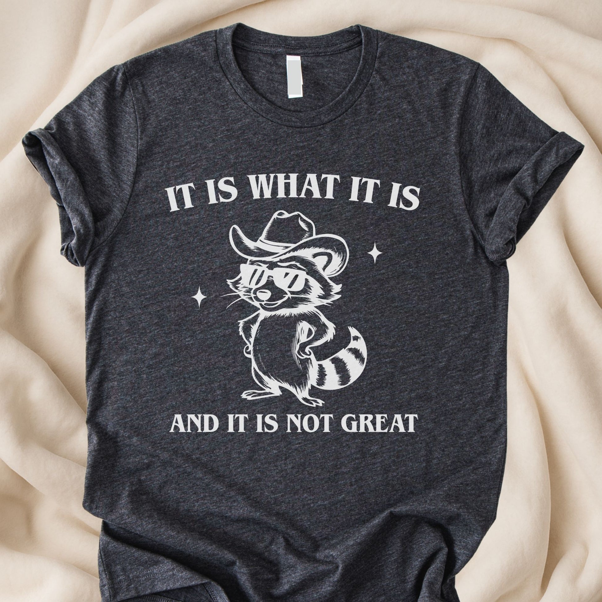 It Is What It Is and It’s Not Great T-Shirt | Funny Raccoon Tee – Zeke Squad - Zeke Squad