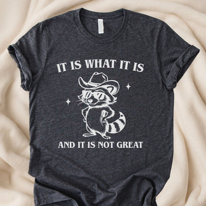 It Is What It Is and It’s Not Great T-Shirt | Funny Raccoon Tee – Zeke Squad - Zeke Squad
